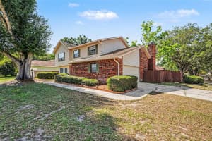 6612 PEACHTREE DRIVE, TAMPA, FL 33617 - MLS#MFRTB8509973