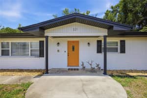 521 LUTZ LAKE FERN ROAD, LUTZ, FL 33548 - MLS#MFRTB8510014