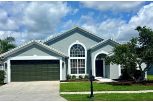 18564 Kingbird Dr, LUTZ 18564 Kingbird Dr, LUTZ
