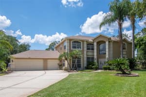 18511 BITTERN AVENUE, LUTZ, FL 33558 - MLS#MFRTB8510091