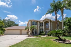 18511 BITTERN AVENUE, LUTZ, FL 33558 - MLS#MFRTB8510091