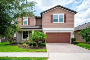 18929 Birchwood Groves Dr, LUTZ