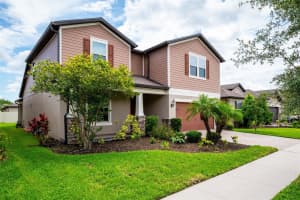 18929 BIRCHWOOD GROVES DRIVE, LUTZ, FL 33558 - MLS#MFRTB8510102