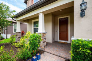 18929 BIRCHWOOD GROVES DRIVE, LUTZ, FL 33558 - MLS#MFRTB8510102