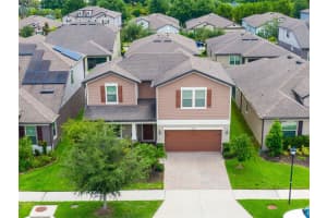 18929 BIRCHWOOD GROVES DRIVE, LUTZ, FL 33558 - MLS#MFRTB8510102