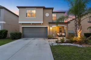 11481 Sage Canyon Dr, RIVERVIEW