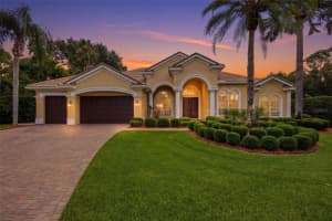 9409 TREE TOPS LAKE ROAD, TAMPA, FL 33626 - MLS#MFRTB8510127