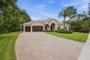 9409 TREE TOPS LAKE ROAD, TAMPA, FL 33626 - MLS#MFRTB8510127
