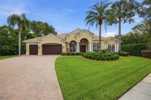 9409 TREE TOPS LAKE ROAD, TAMPA, FL 33626 - MLS#MFRTB8510127