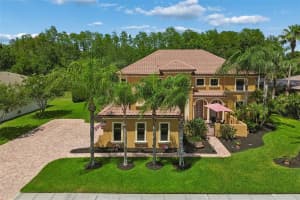 3654 BALLASTONE DRIVE, LAND O LAKES, FL 34638 - MLS#MFRTB8510166