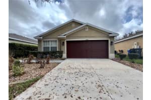 11324 PALM ISLAND AVENUE, RIVERVIEW, FL 33569 - MLS#MFRTB8510167