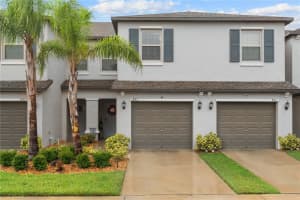 843 ROYAL EMPRESS DRIVE, RUSKIN, FL 33570 - MLS#MFRTB8510199