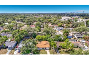 4119 98TH AVENUE, TAMPA, FL 33617 - MLS#MFRTB8510250