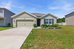 30685 SUMMER SUN LOOP, WESLEY CHAPEL, FL 33545 - MLS#MFRTB8510269