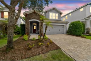 16214 BAYBERRY VIEW DRIVE, LITHIA, FL 33547 - MLS#MFRTB8510298