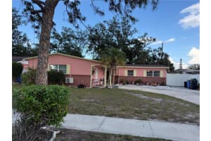 6019 Rosewood Dr, TAMPA 6019 Rosewood Dr, TAMPA