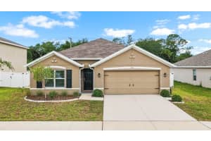 1911 BLUE STREAM STREET, RUSKIN, FL 33570 - MLS#MFRTB8510377
