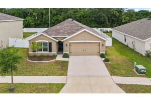 1911 BLUE STREAM STREET, RUSKIN, FL 33570 - MLS#MFRTB8510377