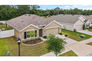 1911 BLUE STREAM STREET, RUSKIN, FL 33570 - MLS#MFRTB8510377