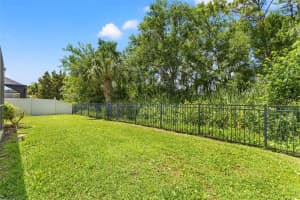 11621 RENAISSANCE VIEW COURT, TAMPA, FL 33626 - MLS#MFRTB8510380
