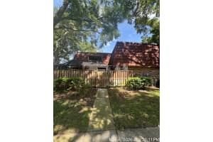 2726 11th Ct, PALM HARBOR 2726 11th Ct, PALM HARBOR