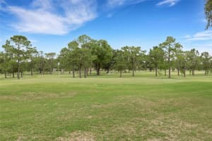 1166 GILLESPIE DRIVE, PALM HARBOR, FL 34684 - MLS#MFRTB8510527