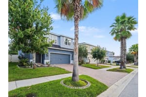 11609 FRINGETREE COURT, RIVERVIEW, FL 33579 - MLS#MFRTB8510558