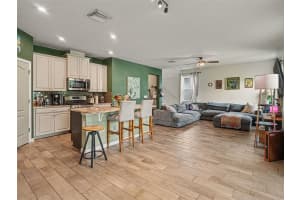 11609 FRINGETREE COURT, RIVERVIEW, FL 33579 - MLS#MFRTB8510558