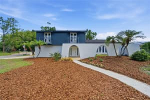 3909 Willowtree Pl, TAMPA