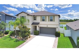10384 SCARLET SKIMMER, RIVERVIEW, FL 33578 - MLS#MFRTB8510627