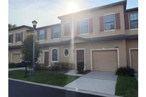 10273 VILLA PALAZZO COURT, TAMPA, FL 33615 - MLS#MFRTB8510638