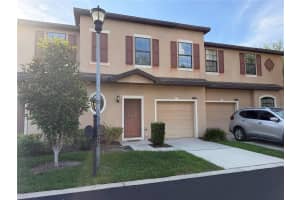 10273 VILLA PALAZZO COURT, TAMPA, FL 33615 - MLS#MFRTB8510638