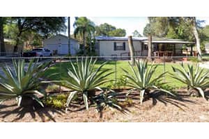 21128 NILES AVENUE, MOUNT DORA, FL 32757 - MLS#MFRTB8510746
