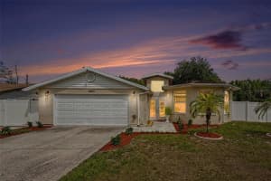 12601 Wood Ibis Way, TAMPA
