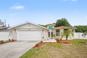 12601 WOOD IBIS WAY, TAMPA, FL 33624 - MLS#MFRTB8510782