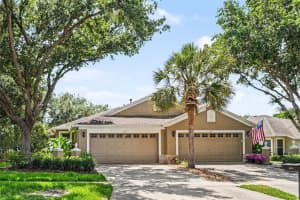 5919 PHOEBENEST DRIVE, LITHIA, FL 33547 - MLS#MFRTB8510789