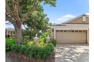 5919 PHOEBENEST DRIVE, LITHIA, FL 33547 - MLS#MFRTB8510789