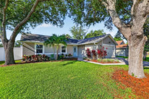 1356 Noell Blvd, PALM HARBOR 1356 Noell Blvd, PALM HARBOR