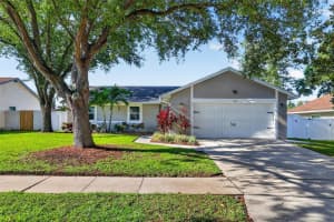 1356 NOELL BOULEVARD, PALM HARBOR, FL 34683 - MLS#MFRTB8510811