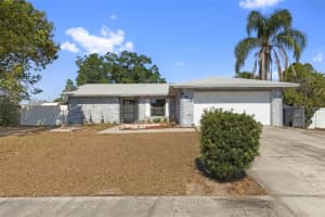 643 Bryan Terrace Dr, BRANDON