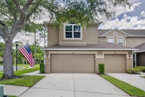 18947 Duquesne Dr, TAMPA 18947 Duquesne Dr, TAMPA