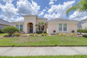 3227 Watermark Dr, WESLEY CHAPEL 3227 Watermark Dr, WESLEY CHAPEL