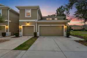 3019 OLD FULTON PLACE, BRANDON, FL 33510 - MLS#MFRTB8510947