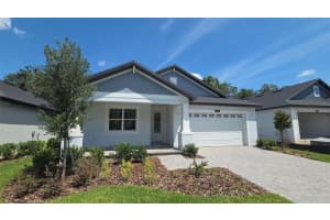 19451 Forest Garden Ct, BROOKSVILLE 19451 Forest Garden Ct, BROOKSVILLE