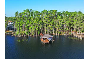 21019 MARSH HAWK DRIVE, LAND O LAKES, FL 34638 - MLS#MFRTB8510975