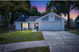2078 Shadow Pine Dr, BRANDON 2078 Shadow Pine Dr, BRANDON