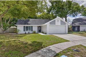 2078 SHADOW PINE DRIVE, BRANDON, FL 33511 - MLS#MFRTB8511003