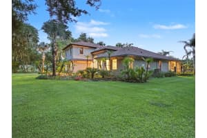 339 CORBETT ROAD, LITHIA, FL 33547 - MLS#MFRTB8511031