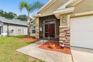 31153 WATER LILY DRIVE, BROOKSVILLE, FL 34602 - MLS#MFRTB8511087