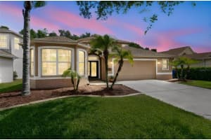 15907 POND RUSH COURT, LAND O LAKES, FL 34638 - MLS#MFRTB8511103
